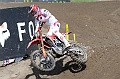 ROB_4259 (Copy)